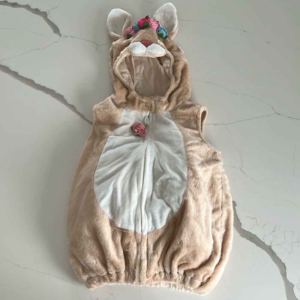 Baby girl bunny costume 24mo
